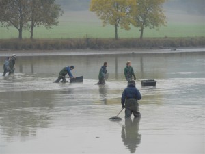 63863143904682015_abfischen_gweiher90b12.jpg